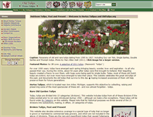 Tablet Screenshot of oldtulips.org